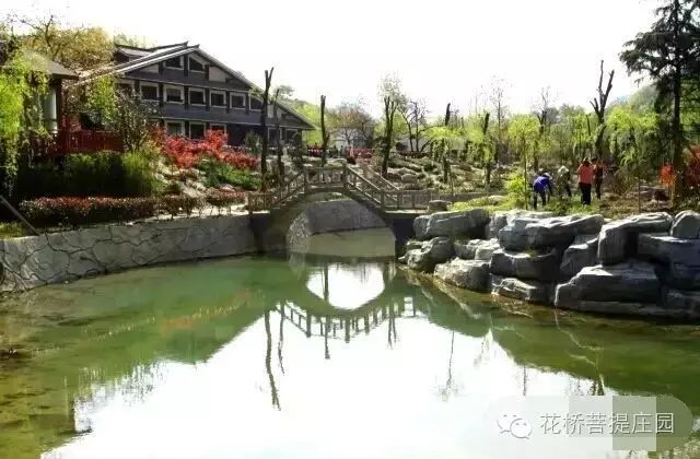 這個周末，隴南康縣花橋有大事要發(fā)生？