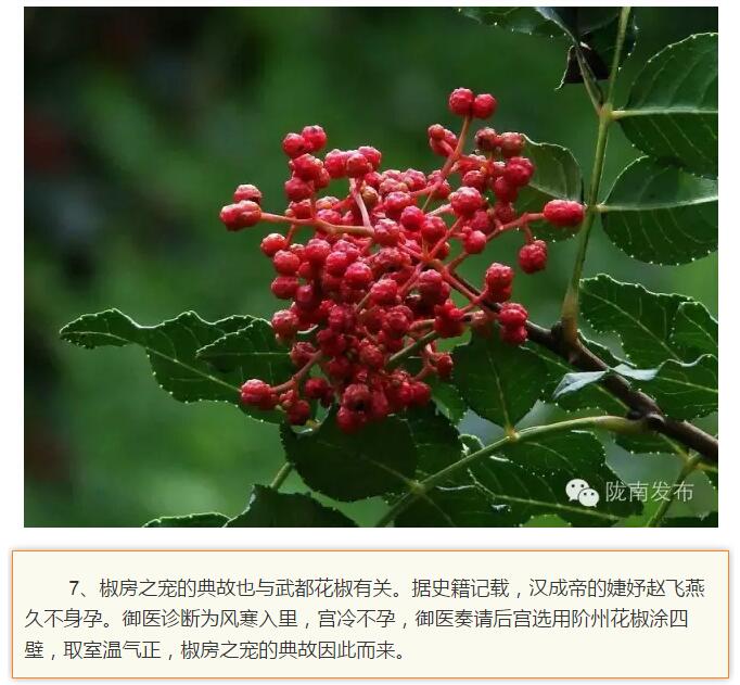 蘭渝鐵路最早由孫中山先生提出？在隴南，你不知道的事兒還有……