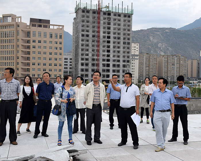 省、市聯(lián)合工作組蒞臨階州廣場檢查指導(dǎo)工作