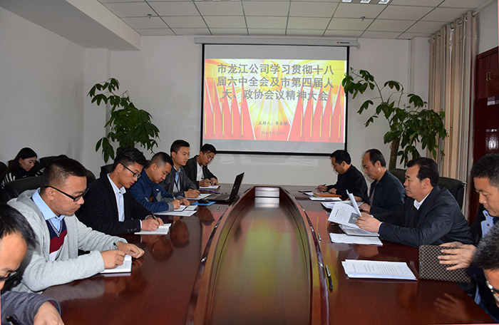 市龍江公司召開全體員工大會，專題傳達(dá)學(xué)習(xí)上級會議精神