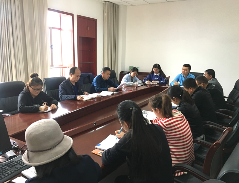 市龍江城鄉(xiāng)發(fā)展集團(tuán)專題學(xué)習(xí)近期中央、省、市紀(jì)律檢查委員會(huì)議精神