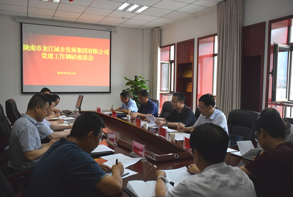 隴南市委常委、組織部部長楊郃調(diào)研指導(dǎo)市龍江城鄉(xiāng)發(fā)展集團公司黨建工作