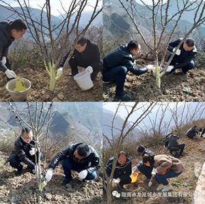 市龍江集團在文縣橋頭鎮(zhèn)安子坡村開展“解難題、辦實事、送溫暖”活動