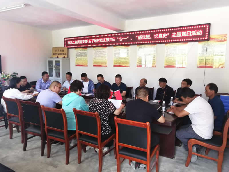 “感黨恩、憶黨史”，--市龍江城鄉(xiāng)發(fā)展集團公司開展慶祝建黨99周年主題黨日活動