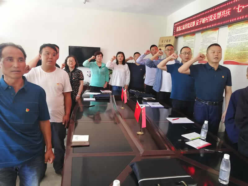 “感黨恩、憶黨史”，--市龍江城鄉(xiāng)發(fā)展集團公司開展慶祝建黨99周年主題黨日活動