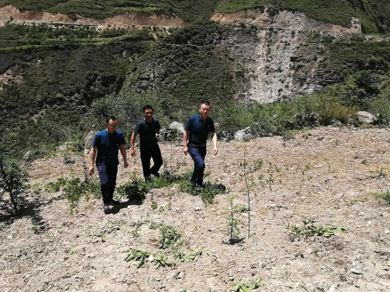 “感黨恩、憶黨史”，--市龍江城鄉(xiāng)發(fā)展集團公司開展慶祝建黨99周年主題黨日活動